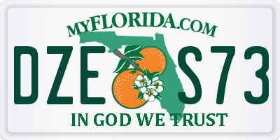FL license plate DZES73