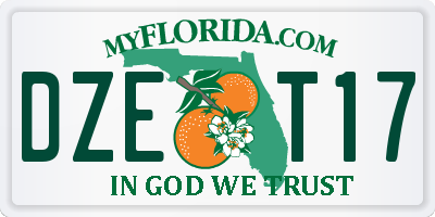 FL license plate DZET17
