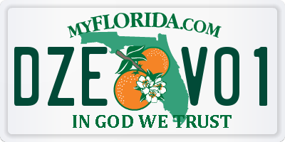 FL license plate DZEV01