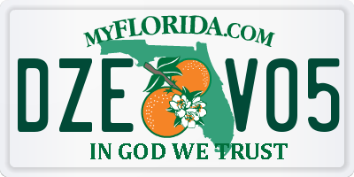 FL license plate DZEV05