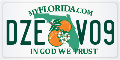 FL license plate DZEV09