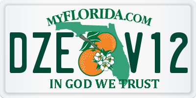 FL license plate DZEV12