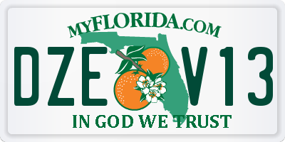 FL license plate DZEV13