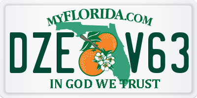 FL license plate DZEV63