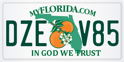 FL license plate DZEV85