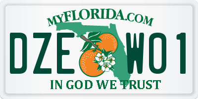FL license plate DZEW01