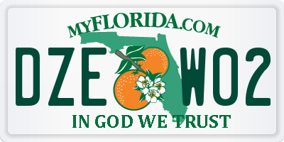 FL license plate DZEW02