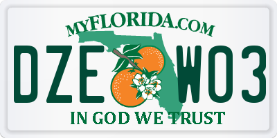 FL license plate DZEW03