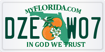 FL license plate DZEW07