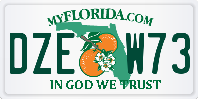 FL license plate DZEW73