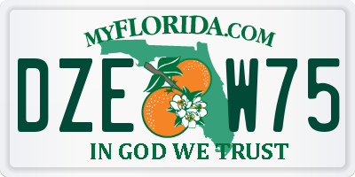 FL license plate DZEW75