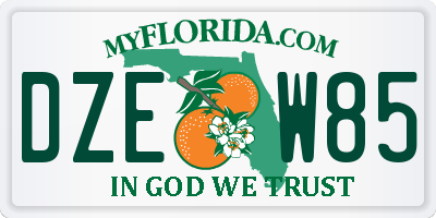 FL license plate DZEW85
