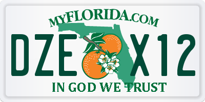 FL license plate DZEX12