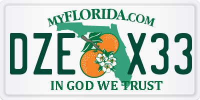 FL license plate DZEX33