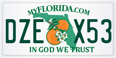 FL license plate DZEX53
