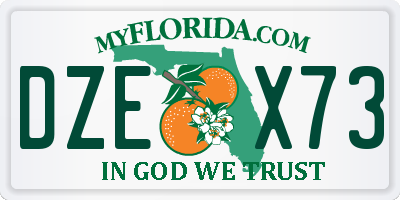 FL license plate DZEX73