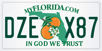 FL license plate DZEX87