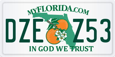 FL license plate DZEZ53