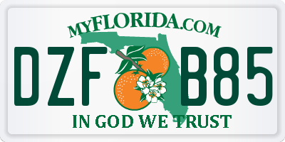 FL license plate DZFB85
