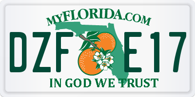 FL license plate DZFE17