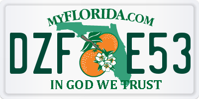 FL license plate DZFE53