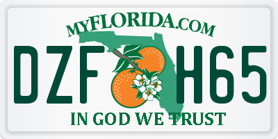 FL license plate DZFH65