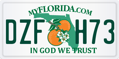 FL license plate DZFH73