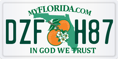 FL license plate DZFH87
