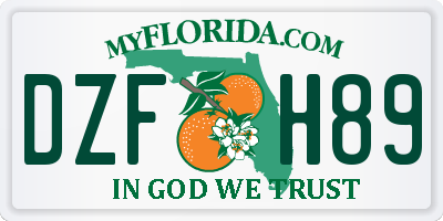 FL license plate DZFH89