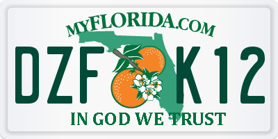 FL license plate DZFK12
