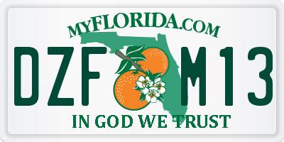 FL license plate DZFM13
