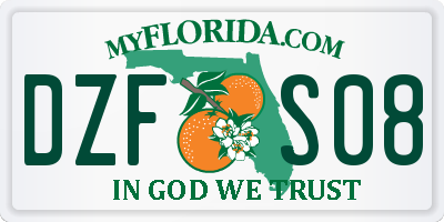 FL license plate DZFS08