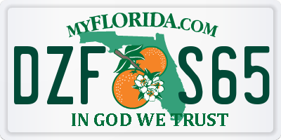 FL license plate DZFS65
