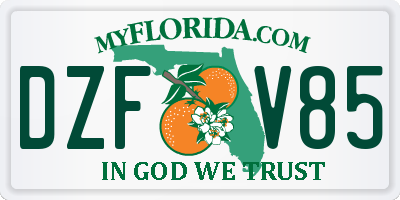 FL license plate DZFV85