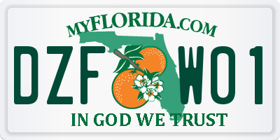 FL license plate DZFW01