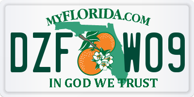 FL license plate DZFW09