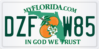 FL license plate DZFW85