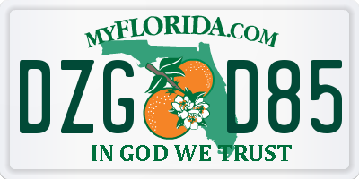 FL license plate DZGD85