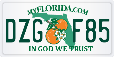 FL license plate DZGF85