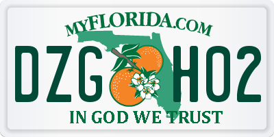 FL license plate DZGH02