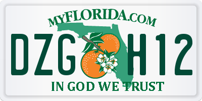 FL license plate DZGH12