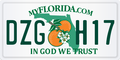 FL license plate DZGH17
