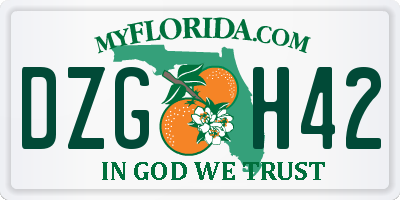 FL license plate DZGH42