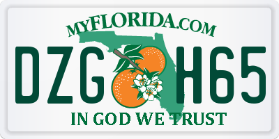 FL license plate DZGH65