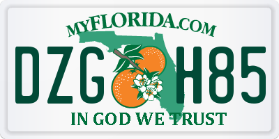 FL license plate DZGH85