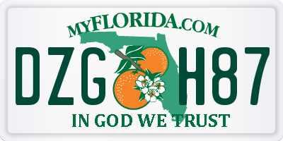 FL license plate DZGH87
