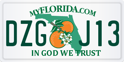 FL license plate DZGJ13