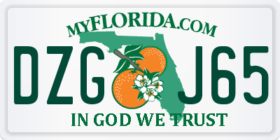 FL license plate DZGJ65