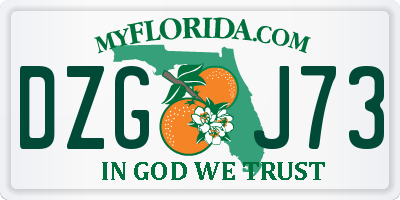 FL license plate DZGJ73