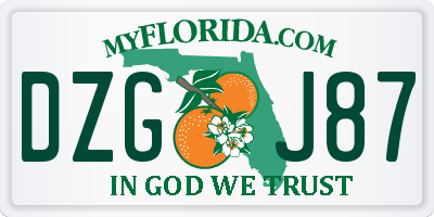 FL license plate DZGJ87